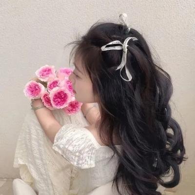 江湖小龙侠